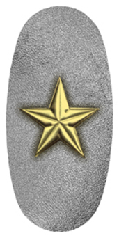 DASOV 430 GD SL Star Gold Silver